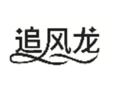 追风龙