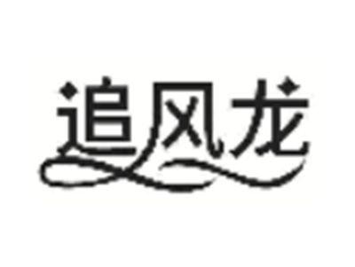 追风龙
