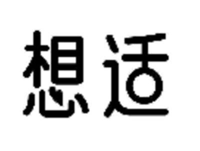 想适