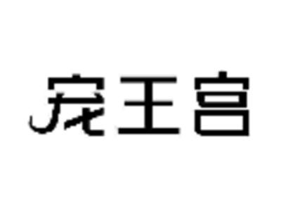 宠王宫