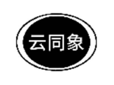 云同象