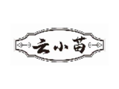 云小苗