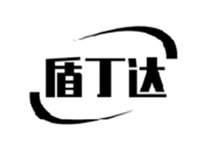 盾丁达