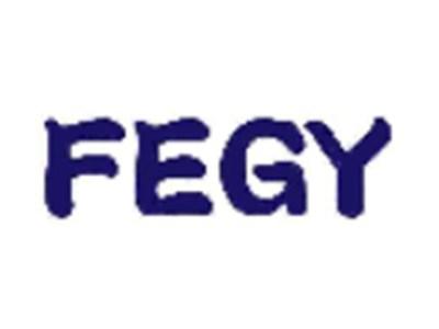 FEGY