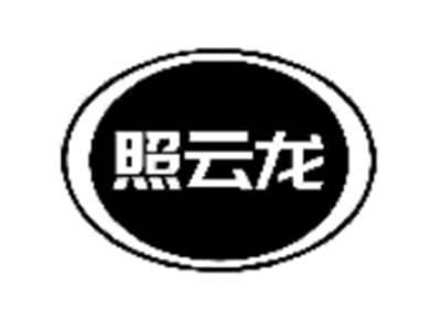 照云龙