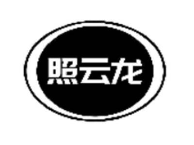 照云龙