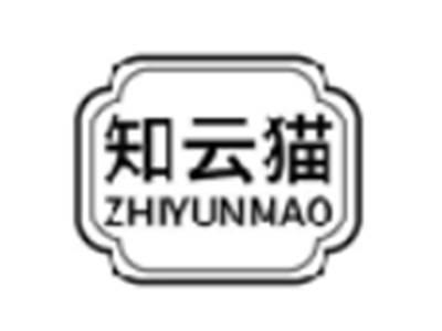 知云猫