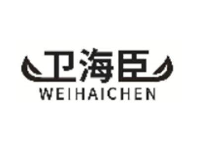 卫海臣