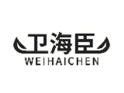 卫海臣