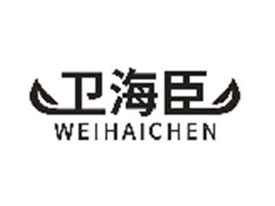 卫海臣