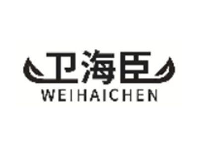 卫海臣