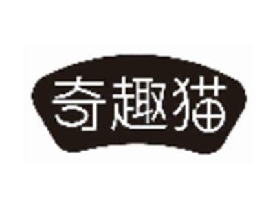 奇趣猫