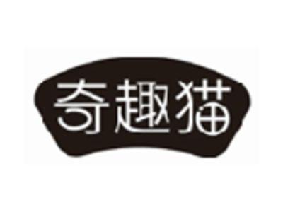 奇趣猫
