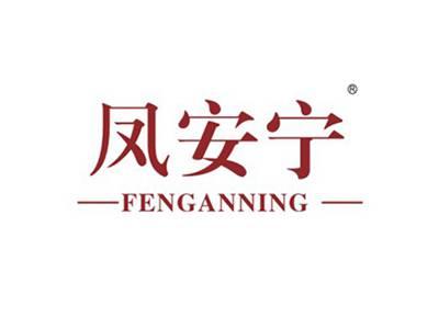 凤安宁