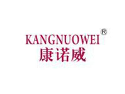 康诺威