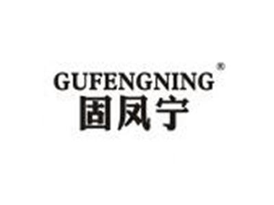 固凤宁