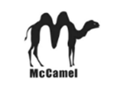 MCCAMEL+骆驼图形