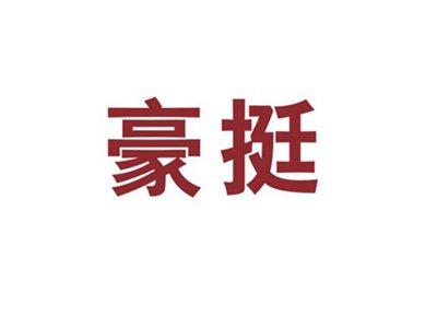 豪挺