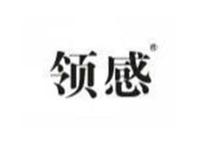 领感