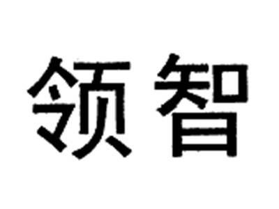 领智