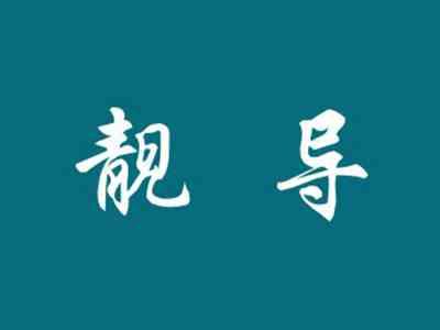 靓导