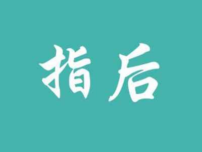 指后