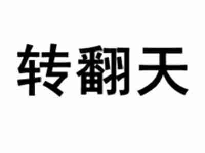 转翻天