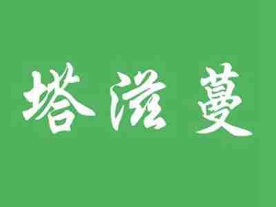塔滋蔓