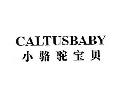 小骆驼宝贝