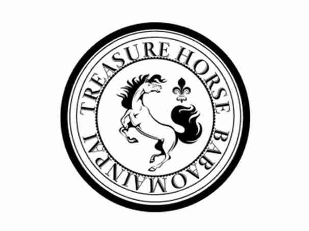 TREASUREHORSEBABAOMAINPAI（宝马名牌）