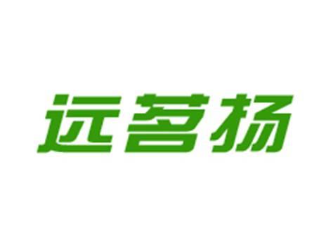 远茗杨