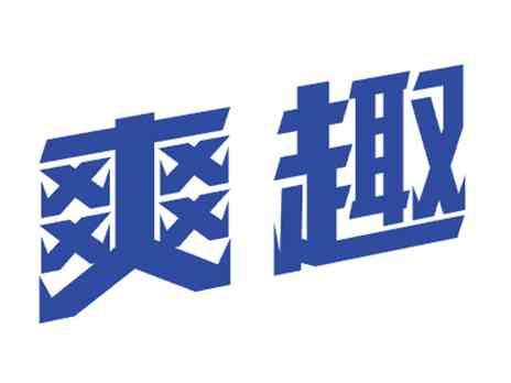 爽趣