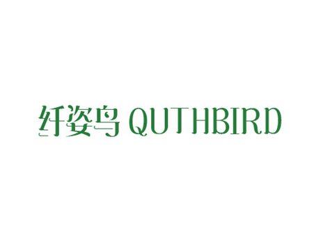 纤姿鸟QUTHBIRD