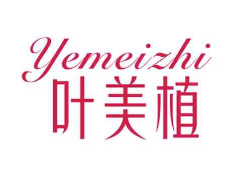 叶美植