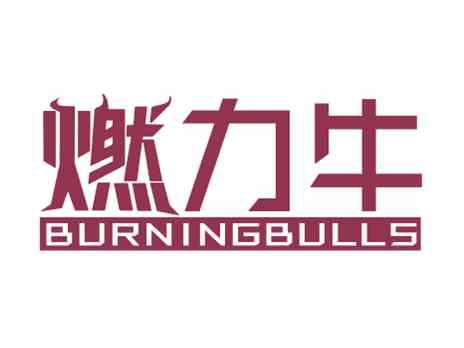燃力牛BURNINGBULLS