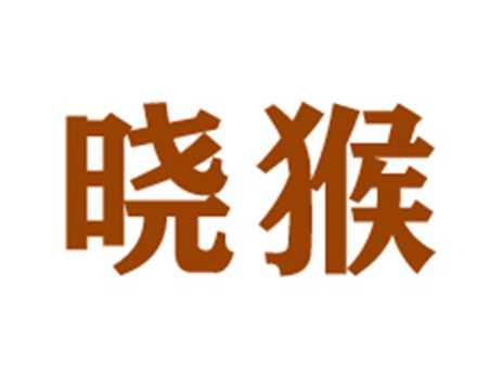 晓猴