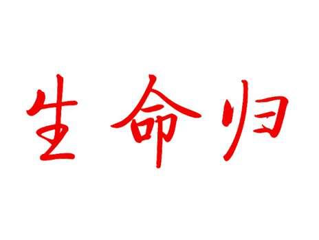 生命归