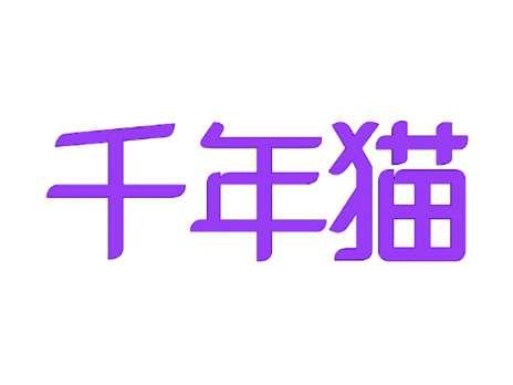 千年猫