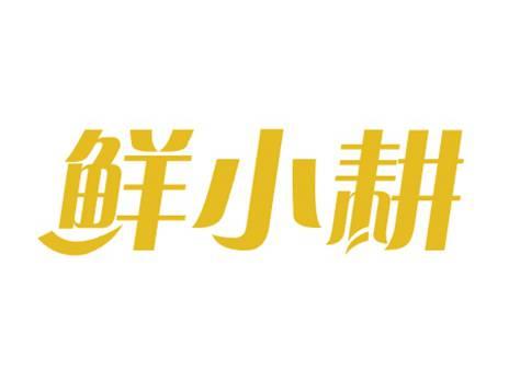 鲜小耕