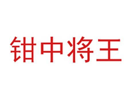 钳中将王