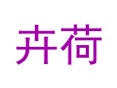 卉荷