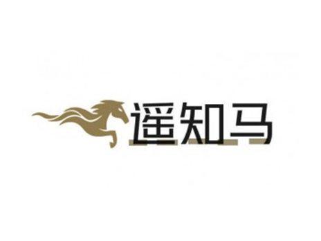 遥知马+图形