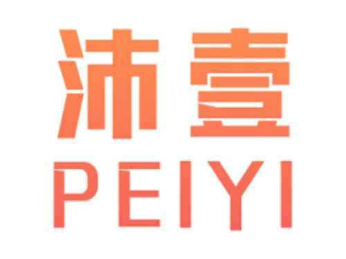 沛壹