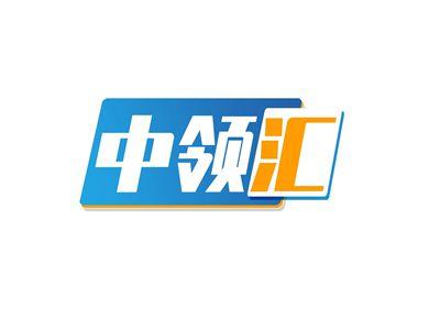 中领汇