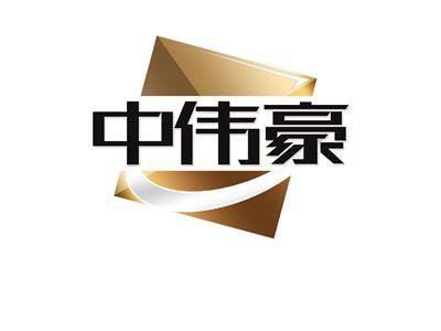 中伟豪