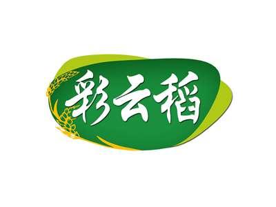 彩云稻
