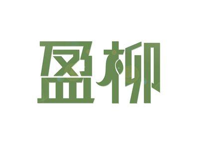 盈柳