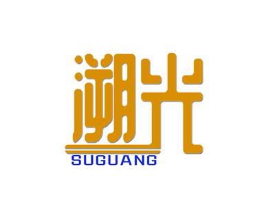 溯光