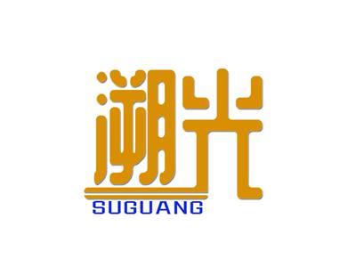 溯光