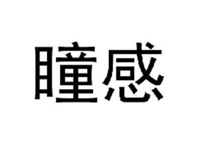 瞳感